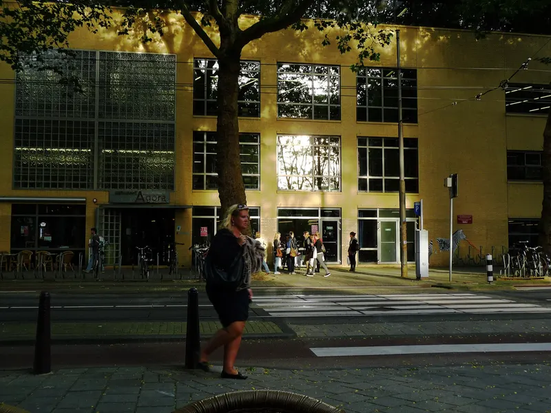 A university building façade — the solidity trust is built on